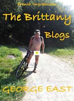 The Brittany Blogs